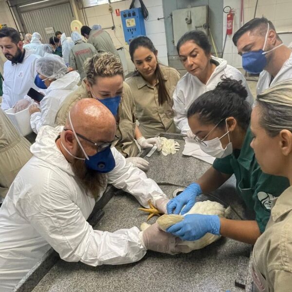 Treinamento da Agrodefesa sobre gripe aviária
