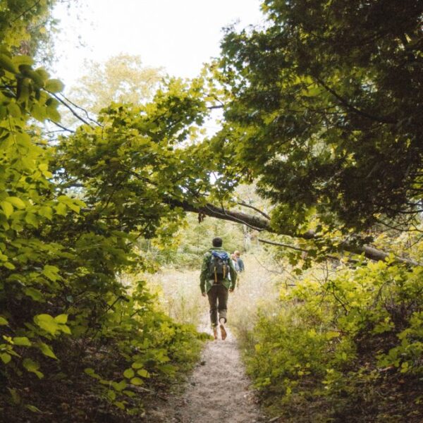 consulta pública sobre trilhas brasileiras - Freepik