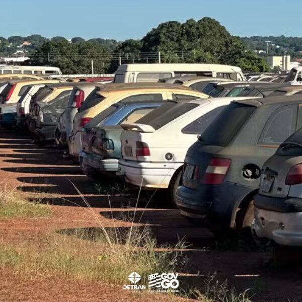 Veículos apreendidos no pátio do Detran