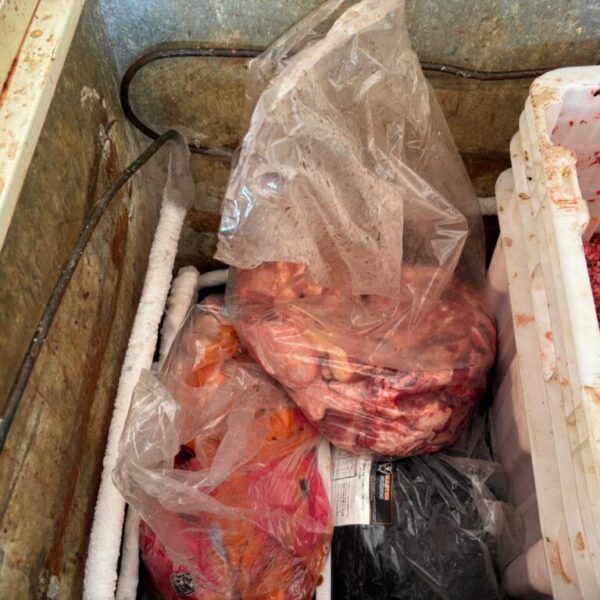 Apreensão de carne imprópria para o consumo