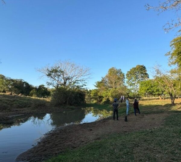 crime ambiental Palminópolis
