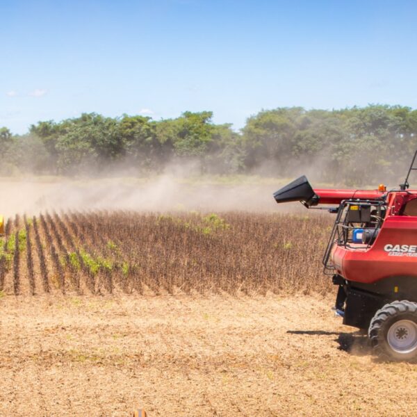 Goiás registra superávit de US$ 826 milhões na balança comercial de julho