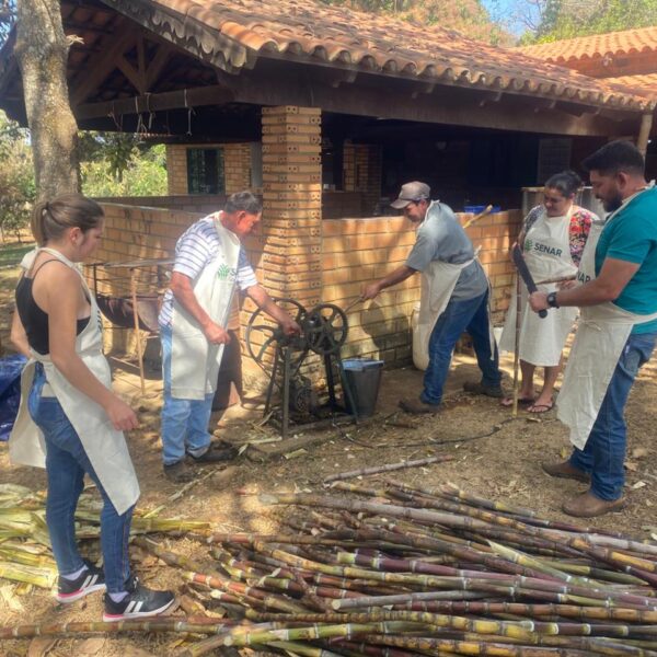 Cachaça artesanal: tradição e oportunidade no Entorno
