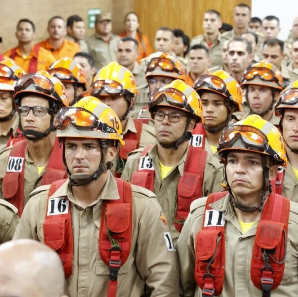 Alunos do Curso de Prevenção e Combate a Incêndio Florestal