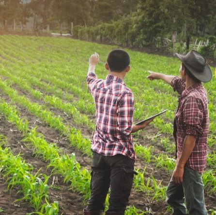 Inscrições no Agro é Social Jovem terminam dia 31