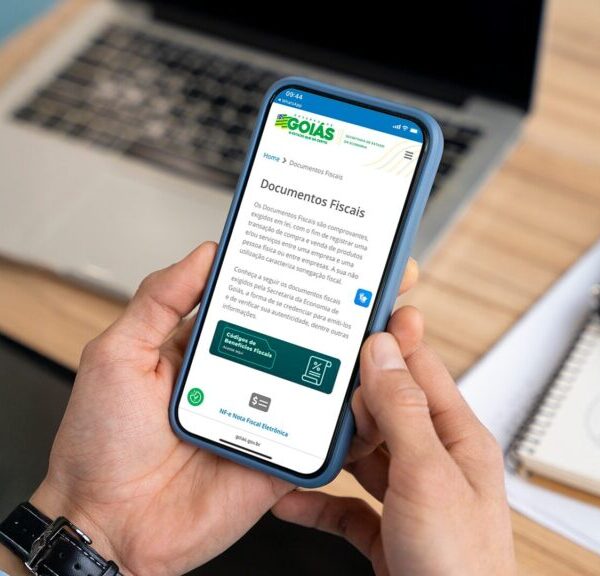 Novo sistema de download da Economia