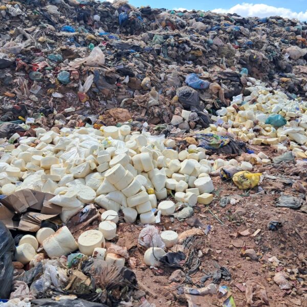 Operação apreende mais de 2 toneladas de alimentos em Goiânia