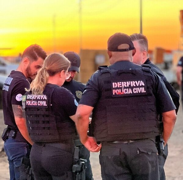 126 veículos são apreendidos em golpe que causou prejuízo de R$ 10 milhões