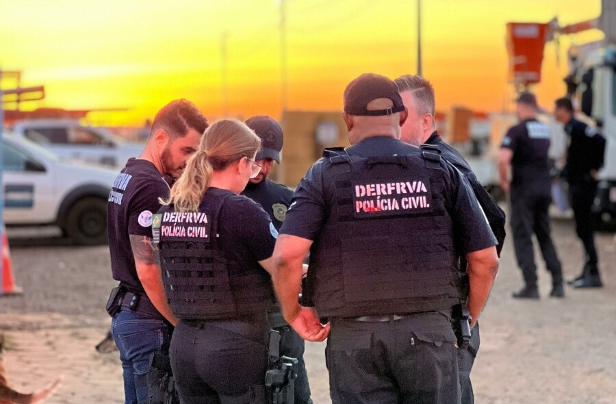 126 veículos são apreendidos em golpe que causou prejuízo de R$ 10 milhões