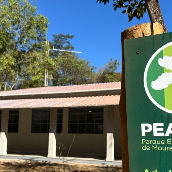 Parque Altamiro de Moura Pacheco