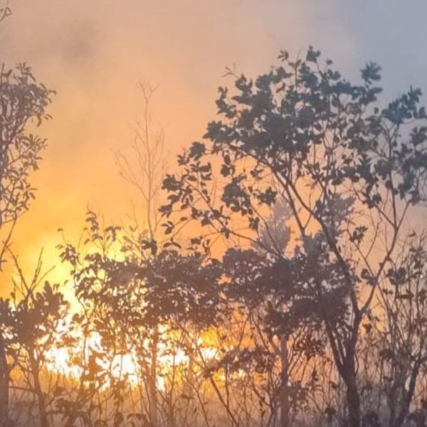 Queimadas em Goiás disparam 152% em uma semana