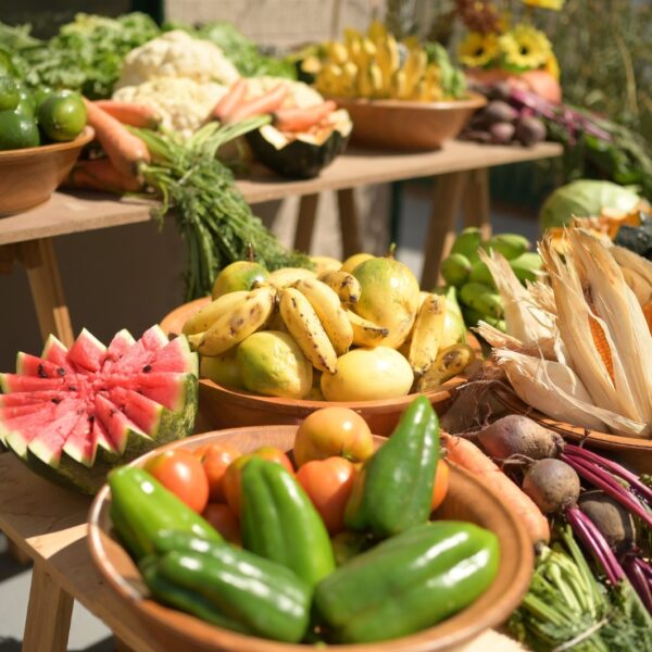 Divulgado resultado preliminar do PAA Quilombola 2025