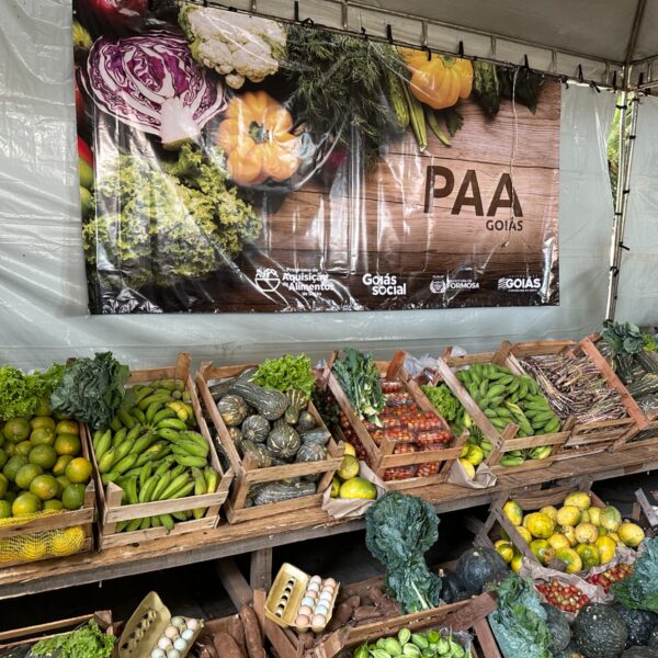 Entregas do PAA Quilombola começam em Flores de Goiás