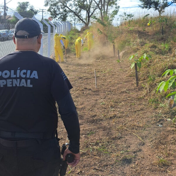 Detentos trabalhando