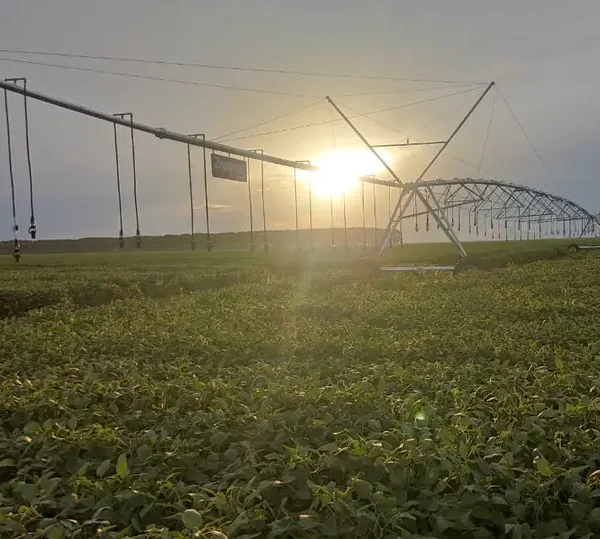 Vale do Araguaia é aposta estratégica para produção agrícola