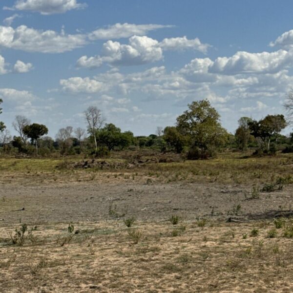 Ação integrada atua no ecossistema do Lago Luiz Alves e do Rio Araguaia