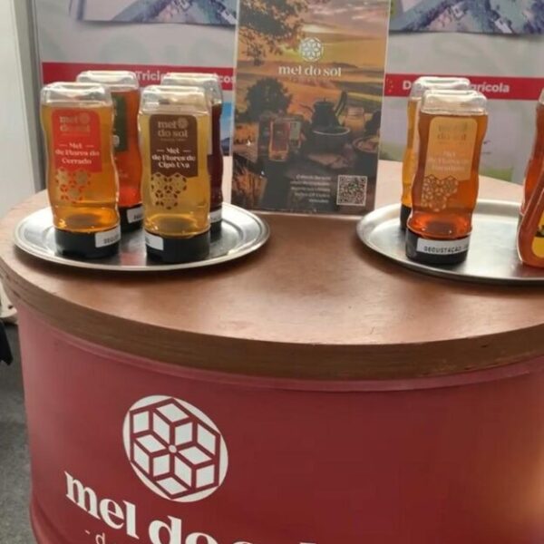 Curso de exportação abre 150 vagas para empresários do Entorno