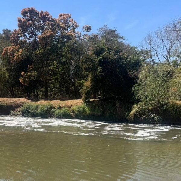 Semad identifica origem da espuma no Rio Meia Ponte