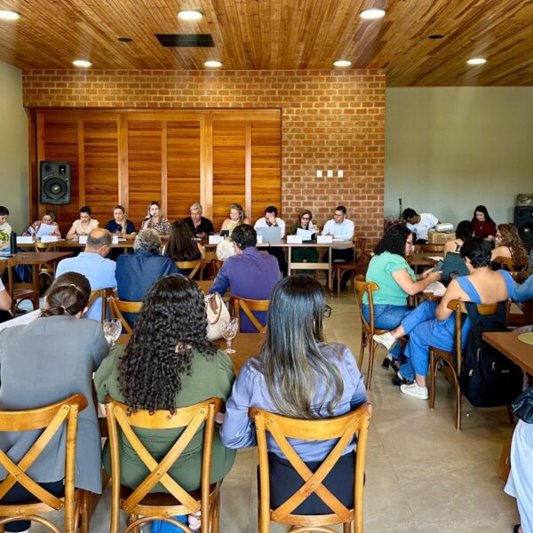 Estado e municípios definem ampliação dos serviços de saúde mental