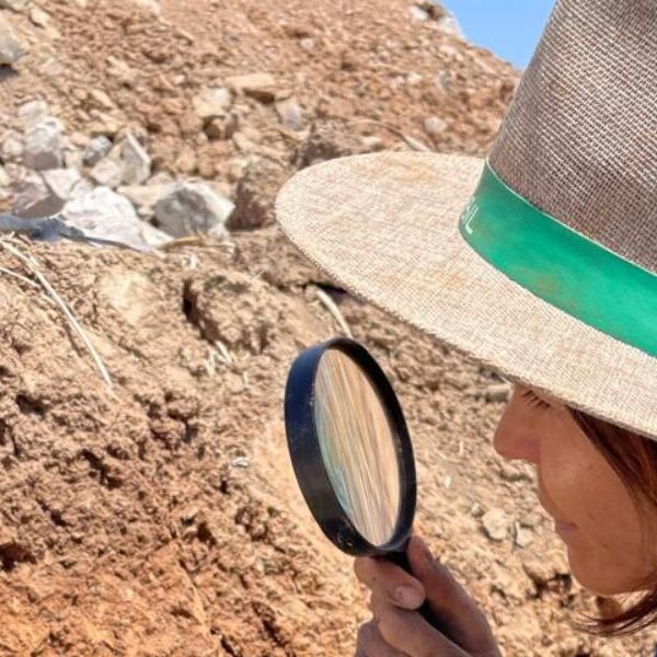 Goiás terá Centro de Excelência em Saúde Única do Brasil