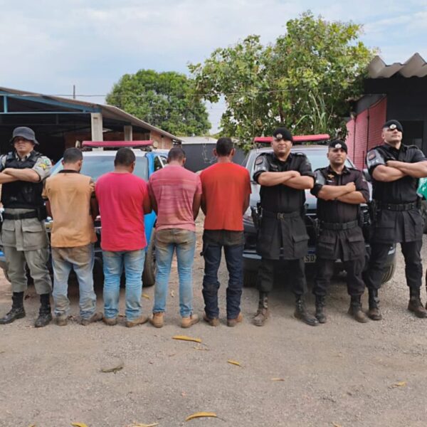 prisão de grupo especializado em furto de gado