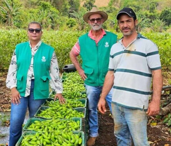 PAA Goiás bate recorde de inscrições e supera metas