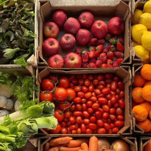 Inscrição ao PAA Goiás 2025 termina no próximo dia 6