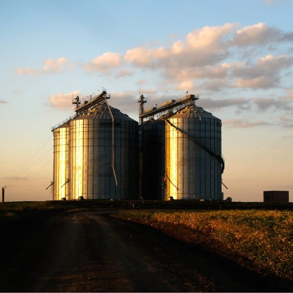 Governo de Goiás amplia capacidade de armazenagem para acompanhar produção de grãos