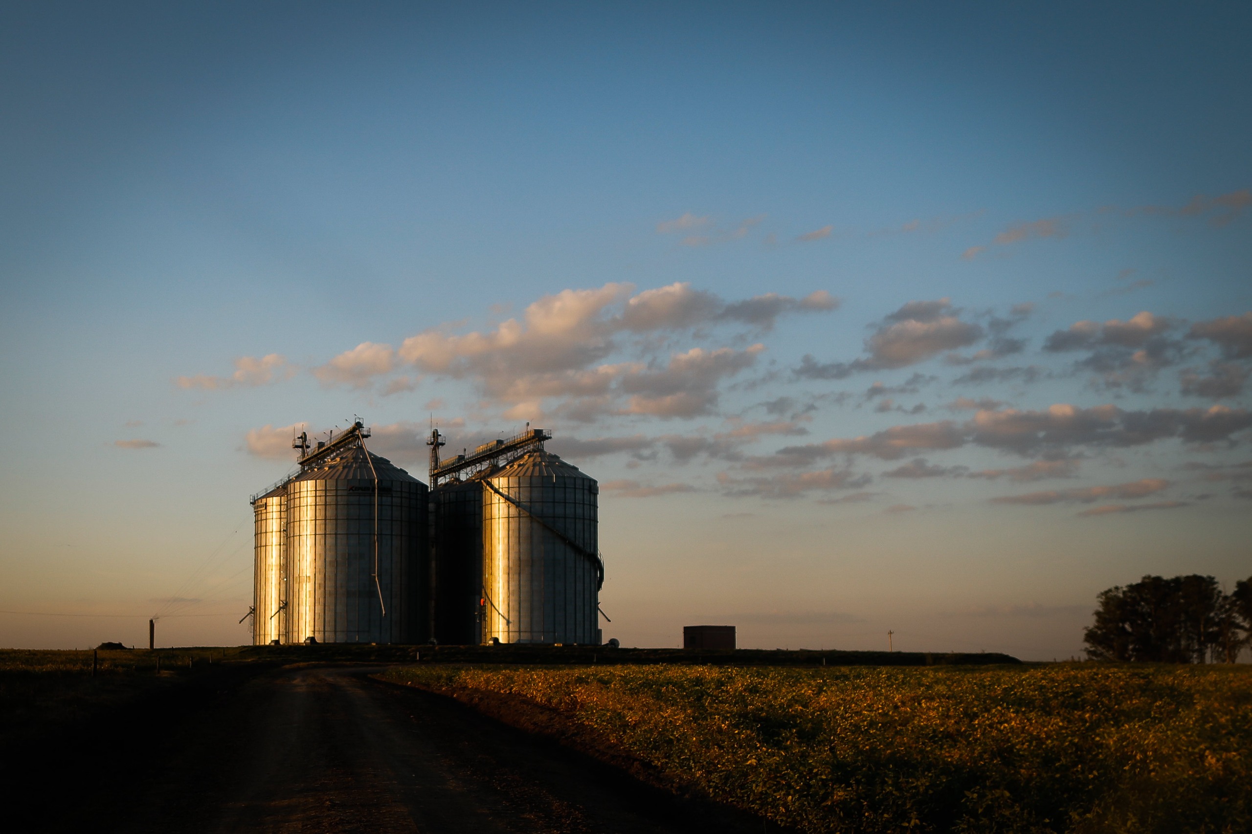 Governo de Goiás amplia capacidade de armazenagem para acompanhar produção de grãos