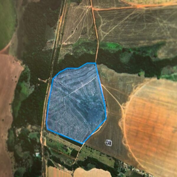 Goiás lança Sistema de Monitoramento de Áreas Degradadas