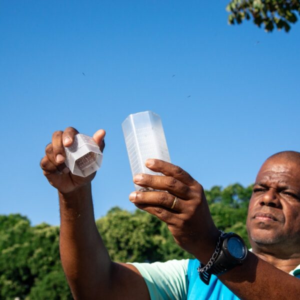 Saúde participa da soltura de mosquitos que não transmitem doenças