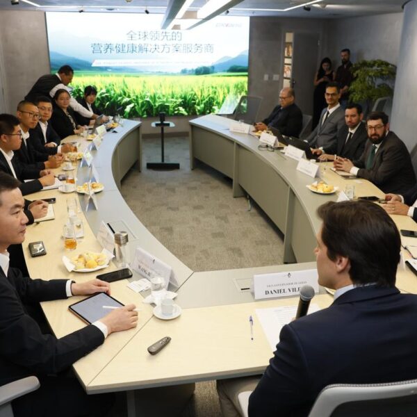 Comitiva chinesa conhece potencial de Goiás para instalação de indústria