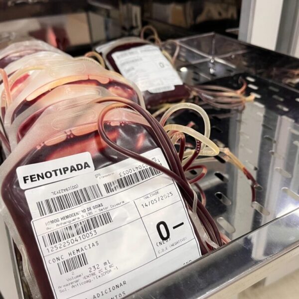 Doação de sangue na Rede Hemo