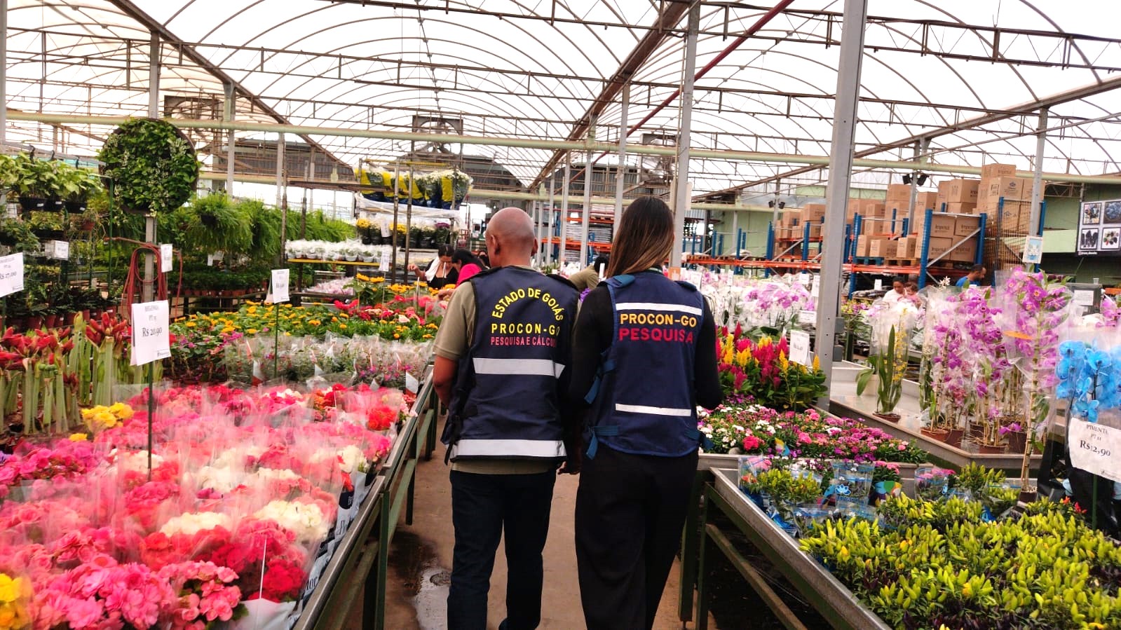 Procon Goiás identifica variação de quase 590% no preço das flores para o Dia de Finados