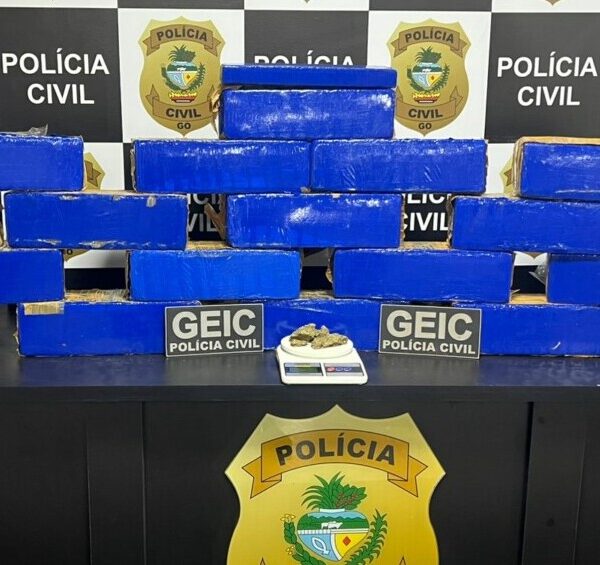 Polícia desativa apartamento usado como depósito de drogas