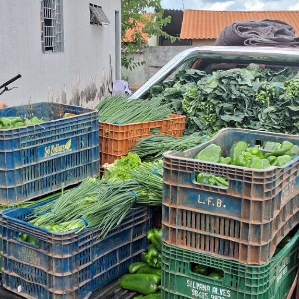 carro carregado de verduras