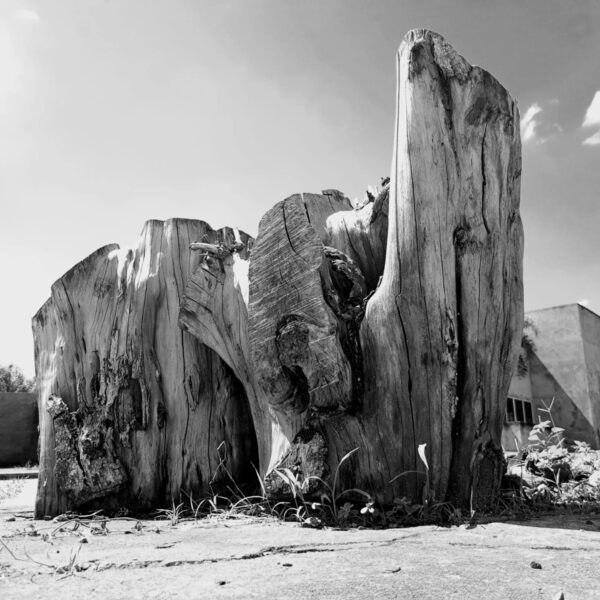 Vila Cultural Cora Coralina recebe exposição fotográfica (Entre)corpos