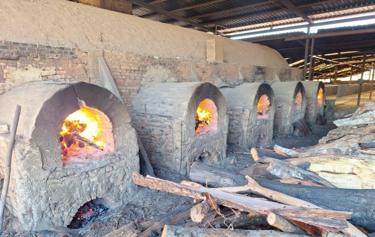 Semad autua 40 cerâmicas por falta de licença ou uso de madeira ilegal em Goiás