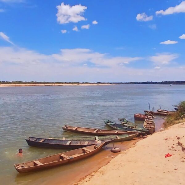 UEG integra estudo que mapeia os biomas Cerrado e Caatinga