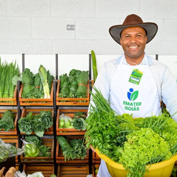 Comerciante do Mercadão Goiano