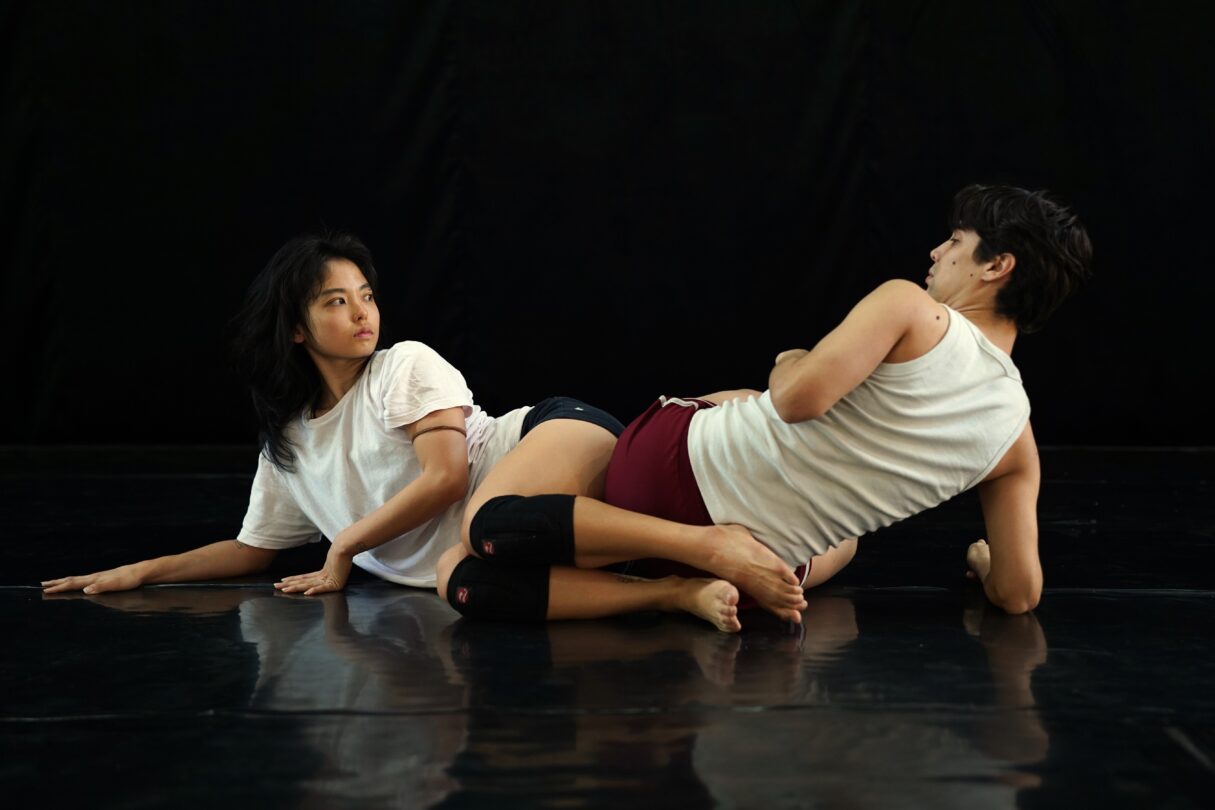 Espetáculo de balé A Morte da Galinha Caipira