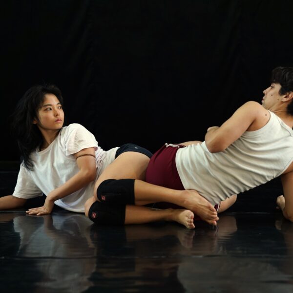 Espetáculo de balé A Morte da Galinha Caipira