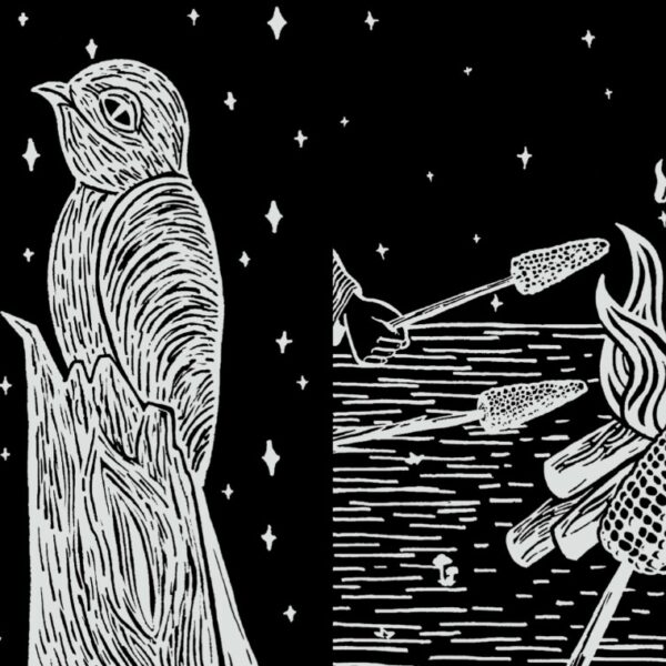 página ilustrada do livro Assombração da escritora Lêda Selma