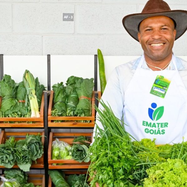 Mercadão Goiano amplia oportunidades para agricultores familiares
