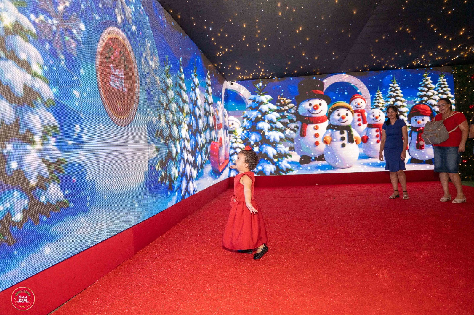 Tunel Led Papai Noel_Diego Canedo