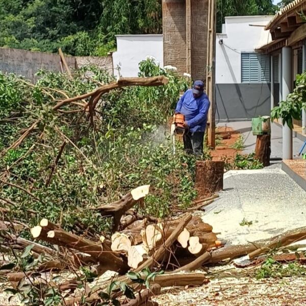 combate ao HLB em Aporé