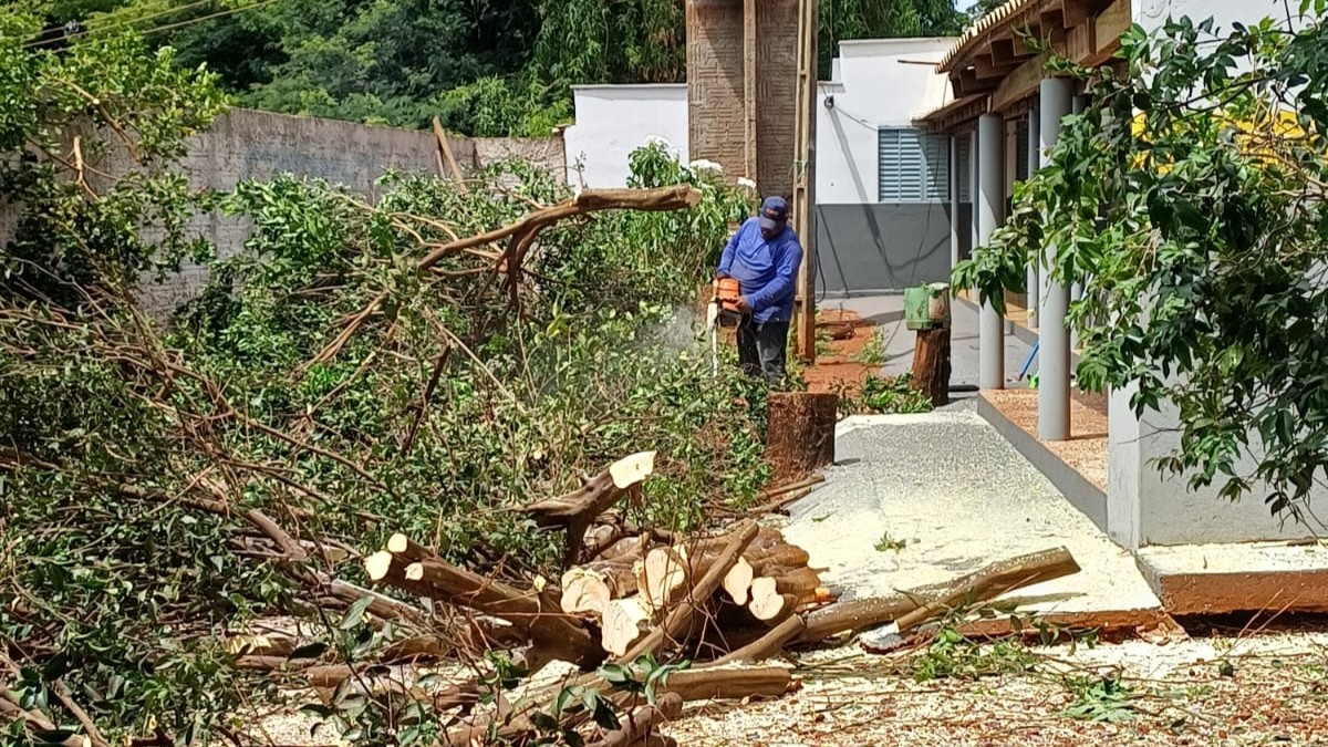 combate ao HLB em Aporé