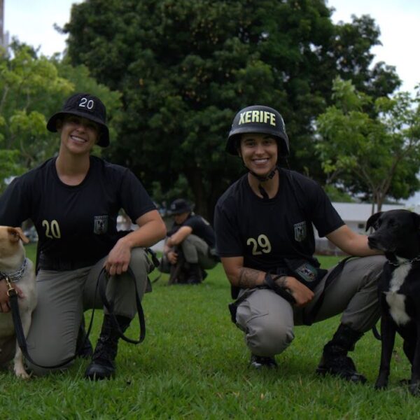 Cães adestrados pelo BPCães vão para adoção