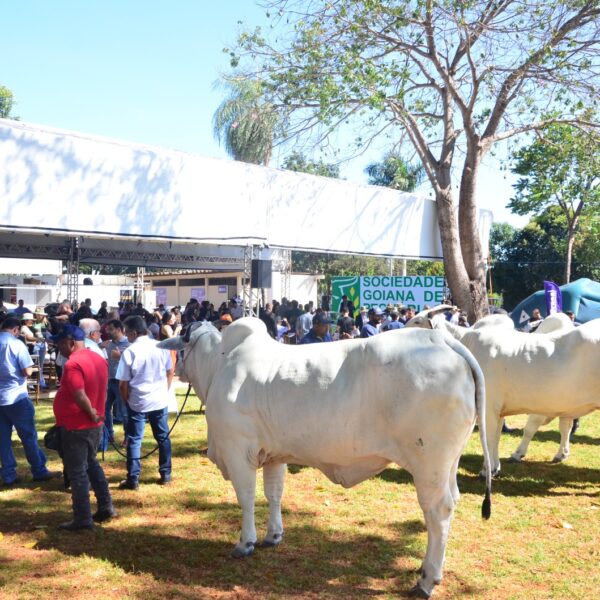 Foto de evento agropecuário em Goiás
