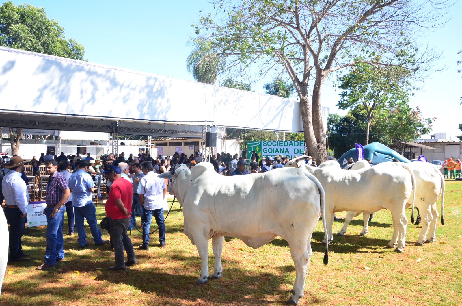 Foto de evento agropecuário em Goiás